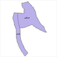 
	نقشه بخش های شهرستان تنگستان    

