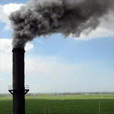 پایان نامه  آلودگی هوا و اثرات آلاينده ها بر روي پروسه هاي بيوشيميائي و فیزیولوژیکی    